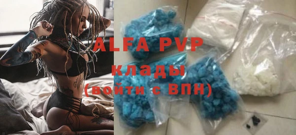 шишки Алзамай