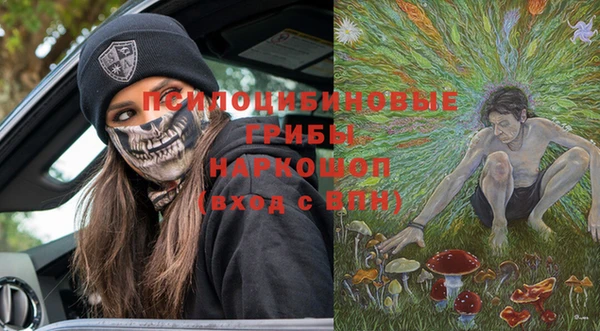 прущие грибы Алексин